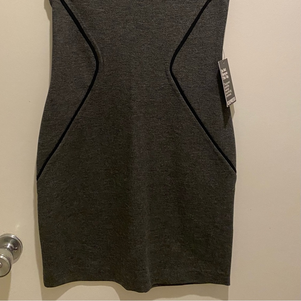 Express Dress - Picture 9 of 11